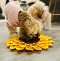 Sunflower Snuffle Mat – Interactive Dog Enrichment Toy