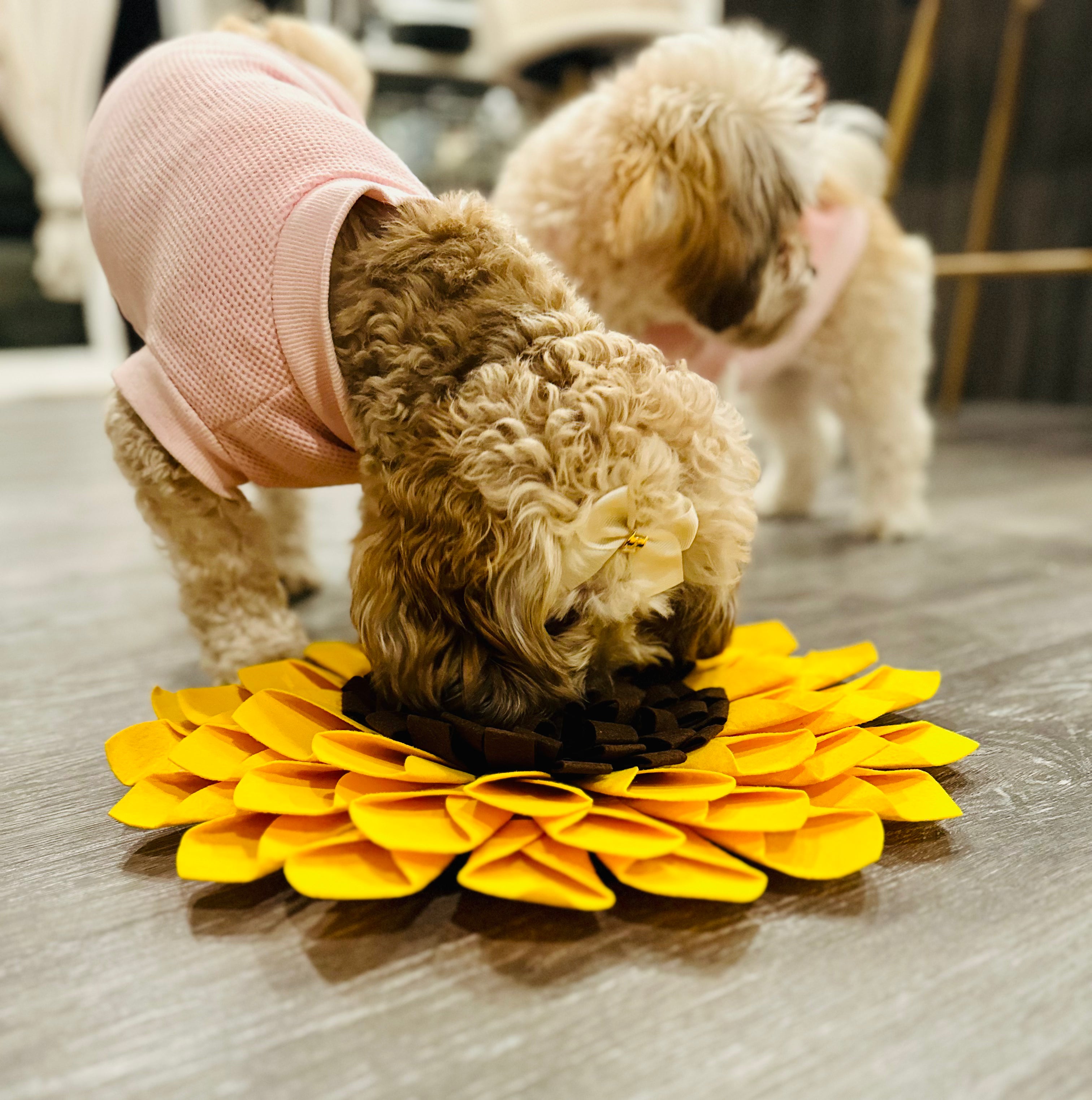 Sunflower Snuffle Mat – Interactive Dog Enrichment Toy